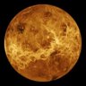 Venus_ 的头像
