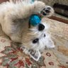 Bob's profile picture