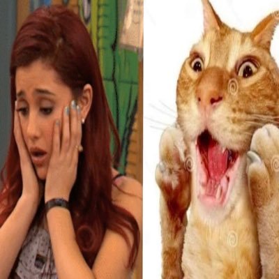 pinkviolyn's profile picture