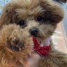 さちゃん 的头像