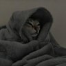 Step-Sofa's profile picture