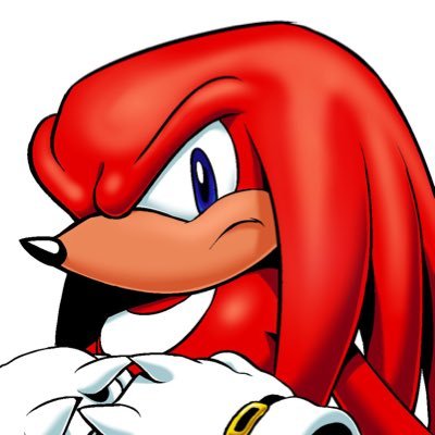 ysa 💎 knuckles enthusiast's profile picture