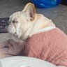 yujia000 profil fotoğrafı