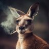 Kevin Erazo Jones's profile picture