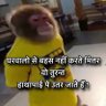 खुरापाती बंदर 🐒😎 的头像