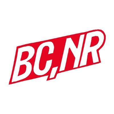 BlackCountry,NewRoad's profile picture