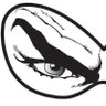 p1tsi's profile picture