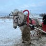 Profilbild von Алексей