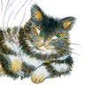 やつがれ 的头像
