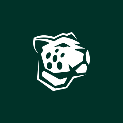SaudieTeam's profile picture