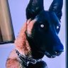 Ud profil fotoğrafı