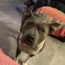 Asmodus's profile picture