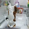 Фото профиля へいた