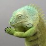 Profilbild von A.S