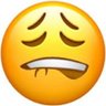 jho's profile picture