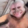 Bignooneee profil fotoğrafı