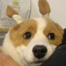 Profilbild von Nsh