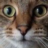 Oksana profil fotoğrafı