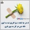 عبدالروف's profile picture