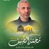 sayed salah 的头像