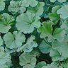 Фото профиля عبدالرحيم عبدالرحيم