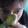 Timna's profile picture