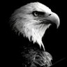 BeşiktaşLI's profile picture