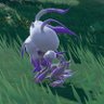 H.Zoroark profil fotoğrafı
