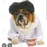 El desmuelizador's profile picture