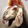 Turlute Uttu's profile picture