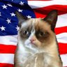 Profilbild von El Gato
