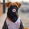Profilbild von Caramelo Corinthiano