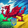 That 🏴 Welshmun 🇪🇺 的头像