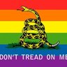 LibertarioLGBT+'s profile picture
