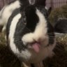 Precious ways's profile picture