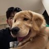 soo's profile picture