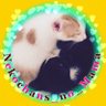 Profilbild von ねこちゃんずのママ(NATSUHA)🧢😸😸🎁
