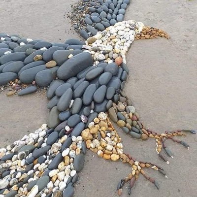 Frederick's profile picture