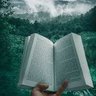 Фото профиля free trade