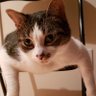 Profilbild von Khammy2704