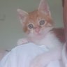 Hafız 01's profile picture