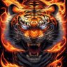 Profilbild von Tigers05
