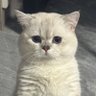 bae_00k🤍's profile picture