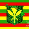 windwardboy80879's profile picture