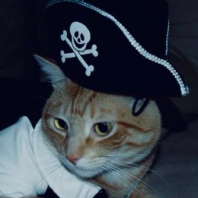 딩's profile picture