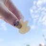 づめ 的头像
