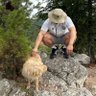 Koronel profil fotoğrafı