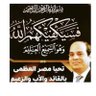 Samy Bedeir Elhadidy's profile picture