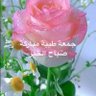 Profilbild von ahmed hassan metawea