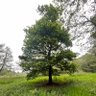 Фото профиля Andrew walker